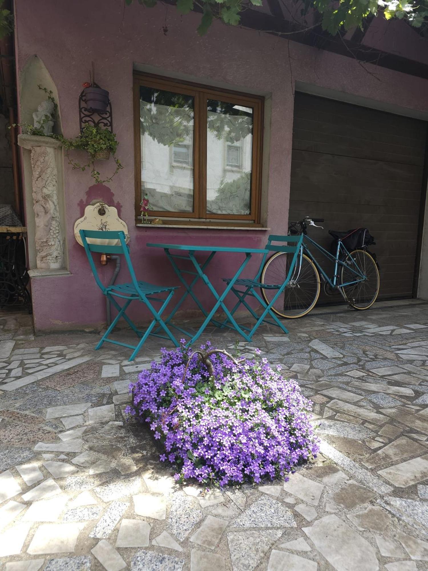 Petit Paradis Croneuva Estrasburgo Exterior foto